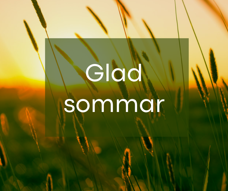 Glad sommar önskar MA-system Utbildning AB